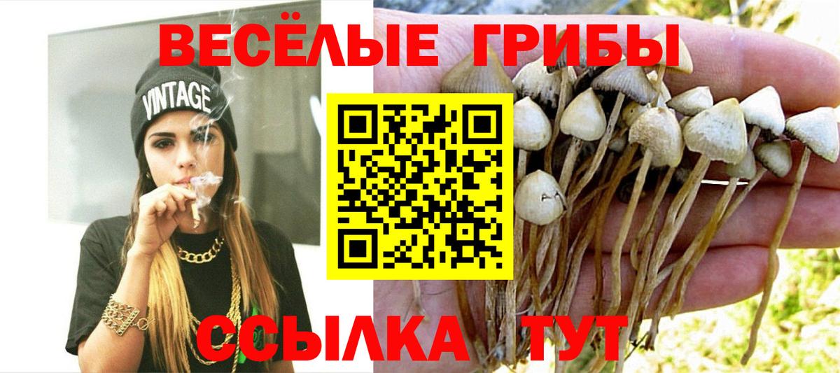 Псилоцибиновые грибы мицелий Саяногорск